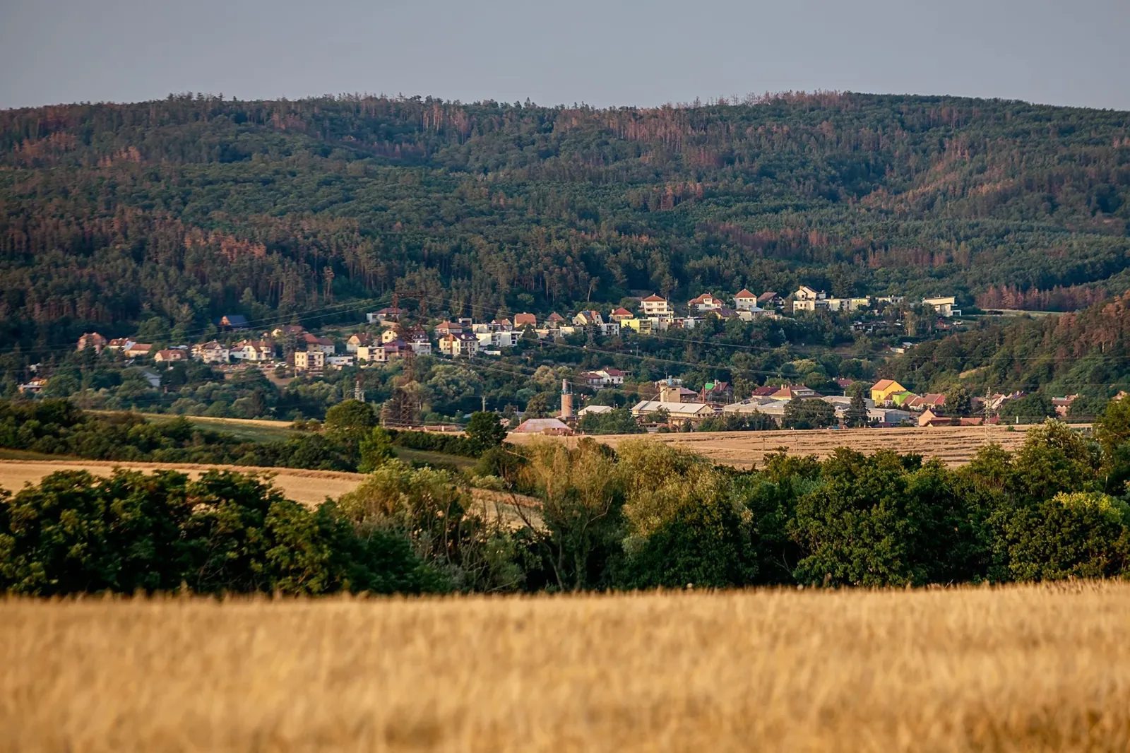 Tetčice
