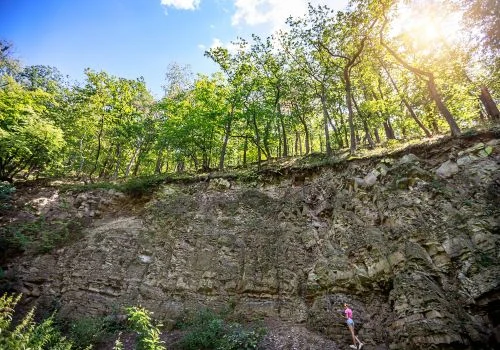 RYBIČKOVÁ SKÁLA