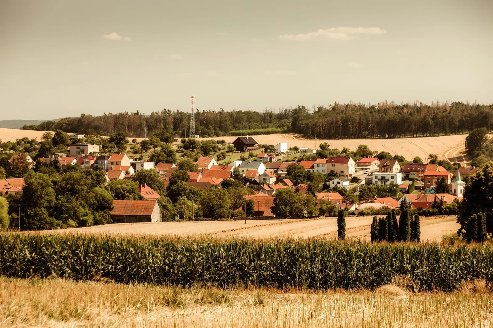Zakřany
