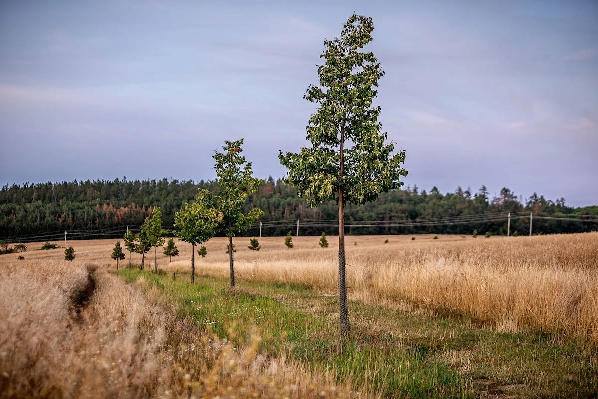 Mikroregion Kahan